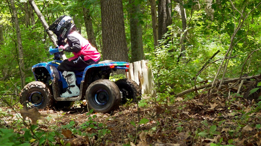 Denago E-Hawk 6 rear-mounted 1600-watt brushless electric motor and drive system.